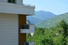 Гостиница Voice Hotel  Мачка